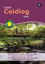 Ceidiog